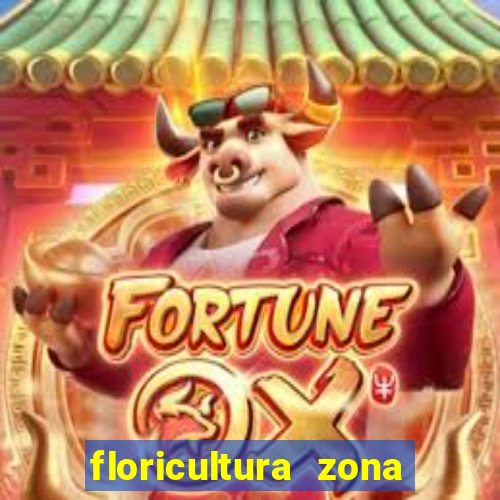 floricultura zona sul porto alegre